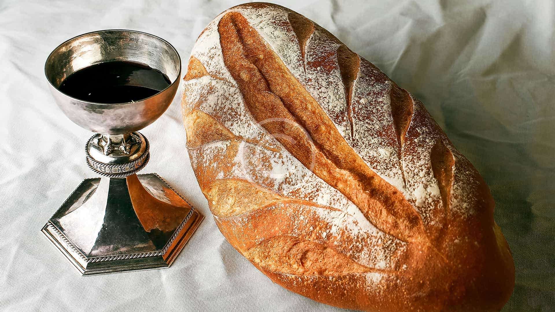 custom-img-080-copyright